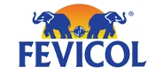 Fevicol partner logo